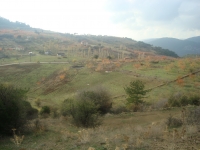 DSC05078