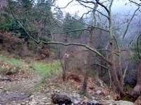 Spil Dağı