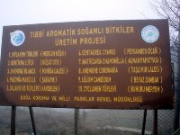 Spil Dağı