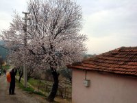 DSC01659