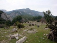 DSC01690