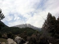 DSC01721