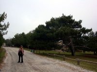 Spil Dağı Atalanı