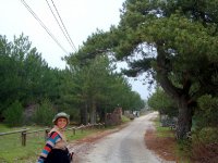 Spil Dağı Atalanı