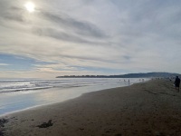 IMG_8315