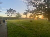 IMG_8332