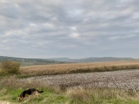 IMG_4870