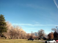 DSC05304