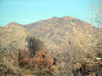 DSC05344