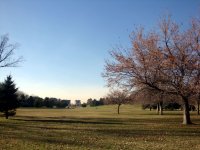 DSC05349