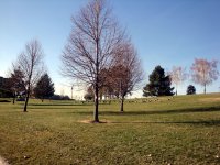 DSC05363