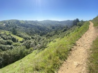 IMG_7332
