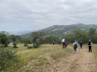 IMG_2992
