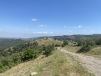 IMG_3036