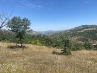 IMG_9474