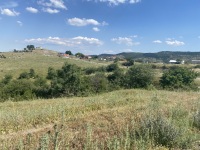 IMG_9511