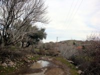 DSC01357
