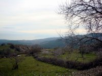 DSC01359