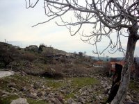 DSC01363