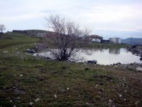 DSC01373