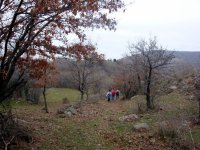DSC01393