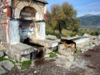 Çukurköy-Kayapınar