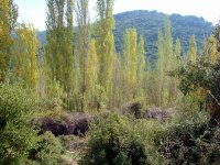 Dumanlıdağ