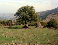 Dumanlıdağ