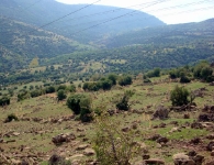 Dumanlıdağ