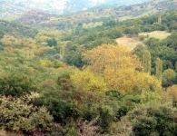 Dumanlıdağ