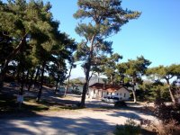 DSC01804