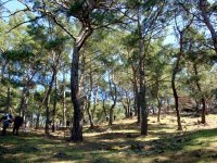 DSC01909