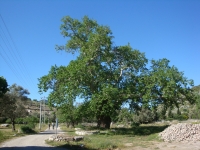 DSC08257