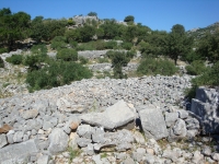 DSC08265