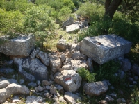 DSC08267