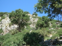 DSC08270