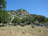 DSC08271