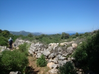 DSC08280