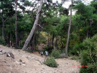 Gölcük-İğnedere