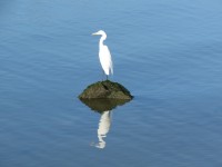 189