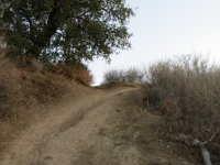 IMG_3492