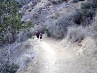 IMG_2944