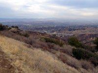 IMG_2972