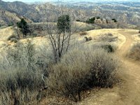 IMG_2980