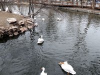 IMG_1057
