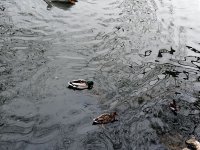 IMG_1059