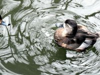 IMG_1060