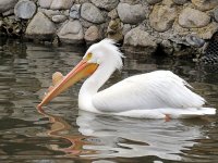 IMG_1065