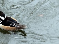 IMG_1070