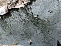 IMG_1073